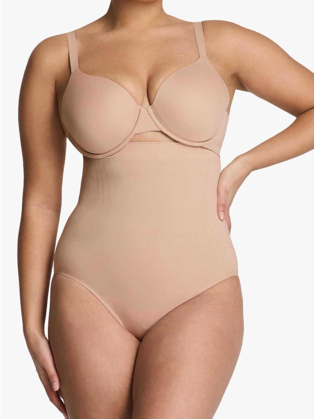 SPANX High-Waisted Brief (10160R)